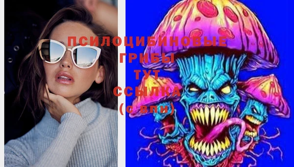 спиды Баксан